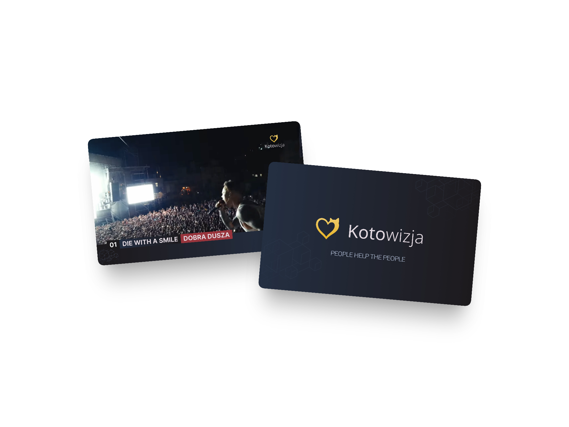Produkcja koncertu tematycznego „Kotowizja” - miniatura projektu